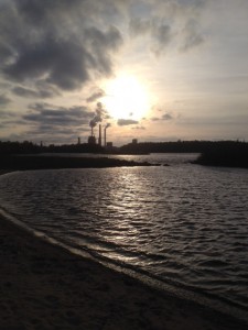 写真 2 (1)